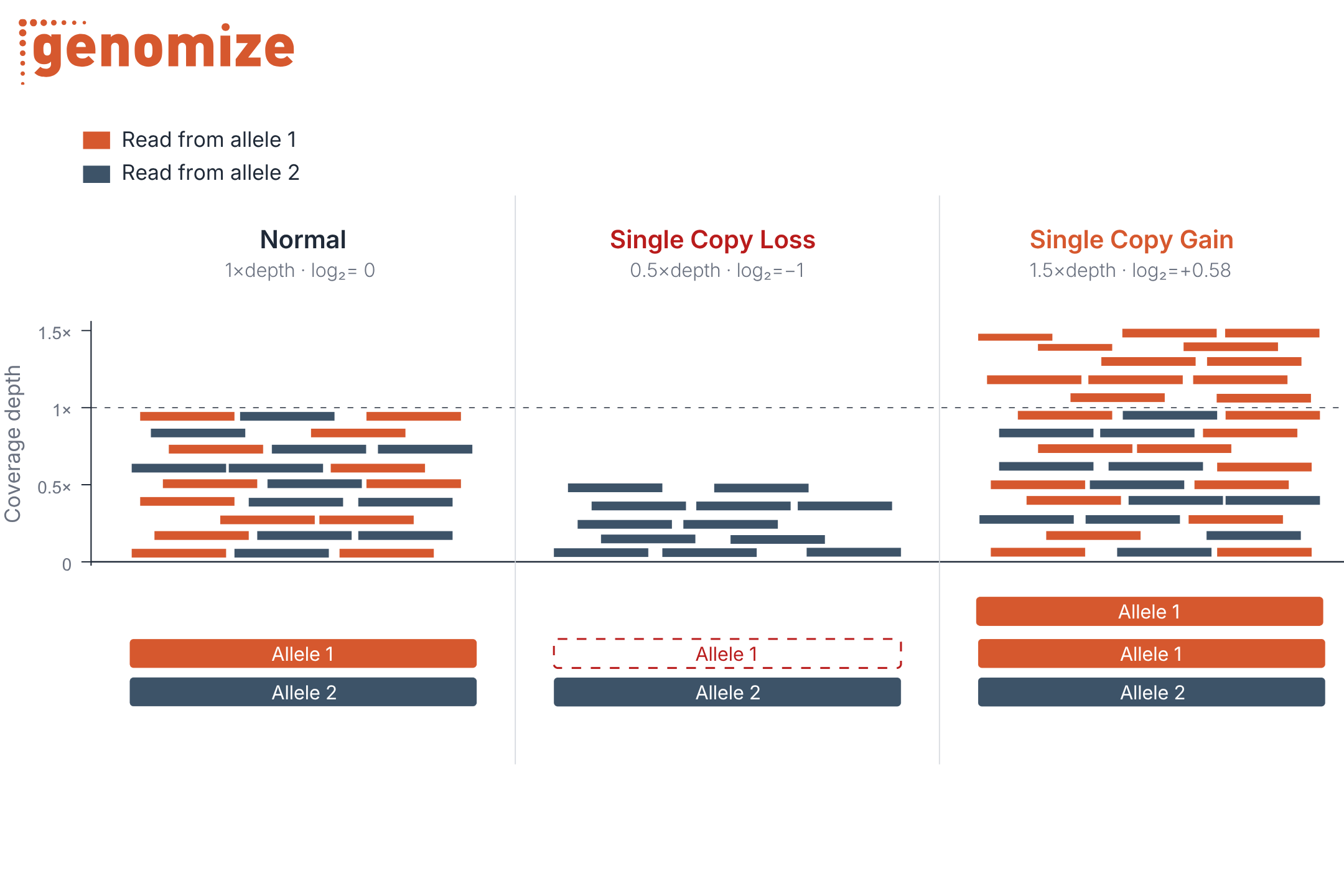 Three-panel diagram showing sequencing read depth for copy number variation. Normal has equal read coverage from both alleles, single copy loss shows reduced coverage from one missing allele, and single copy gain shows increased coverage due to an extra copy of one allele. A legend distinguishes reads from allele 1 (orange) and allele 2 (blue).