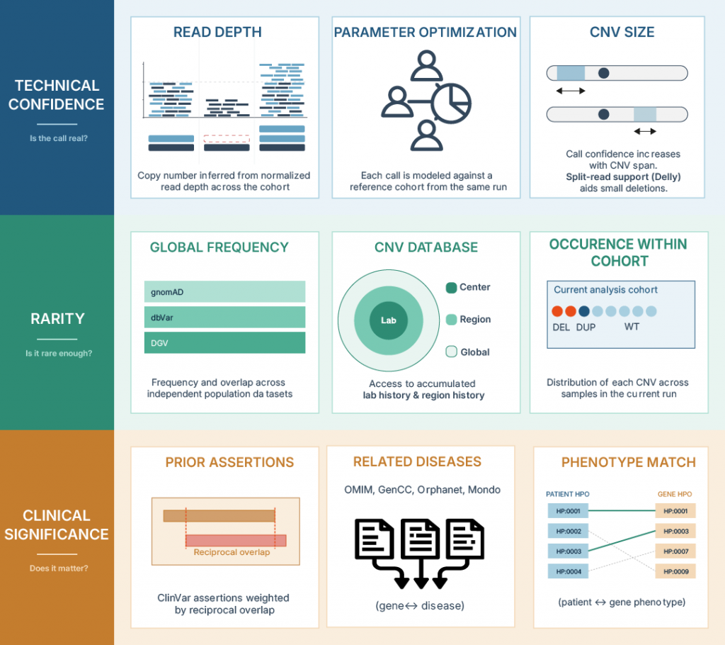 cnv infographic bade revision 01 1