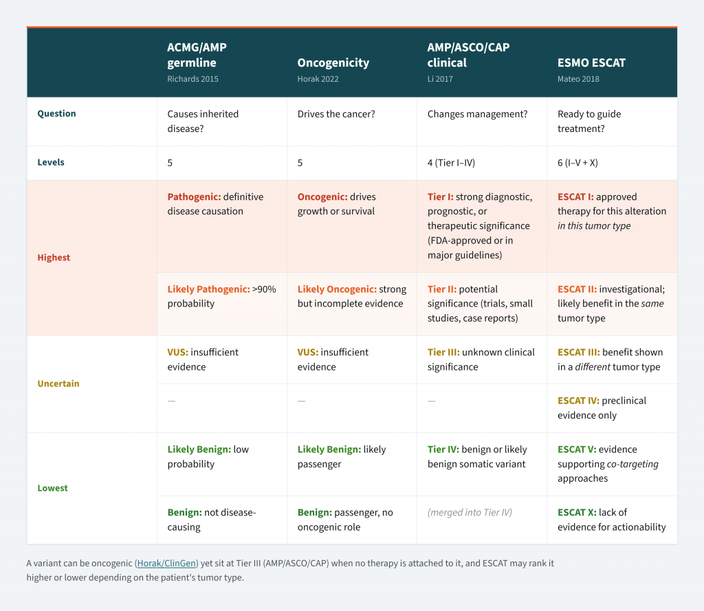 Infographic comparing four variant classification frameworks—ACMG/AMP germline, ClinGen oncogenicity, AMP/ASCO/CAP clinical significance, and ESMO ESCAT—showing their key questions, classification levels, and categories from highest to lowest evidence or clinical relevance.